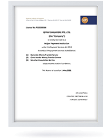 Singapore MPI License